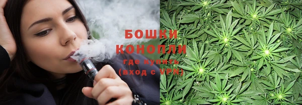 молекула духа Заволжье
