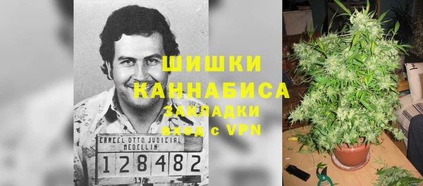 молекула духа Заволжье