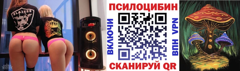Псилоцибиновые грибы мицелий  Купить  Козельск 